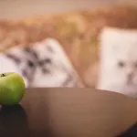 בית הארחה Porto