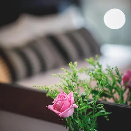 招待所 波尔图贝洛那普旅馆 纳夫普利翁