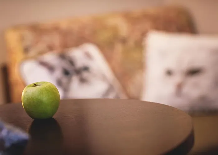 Casa de hóspedes Porto